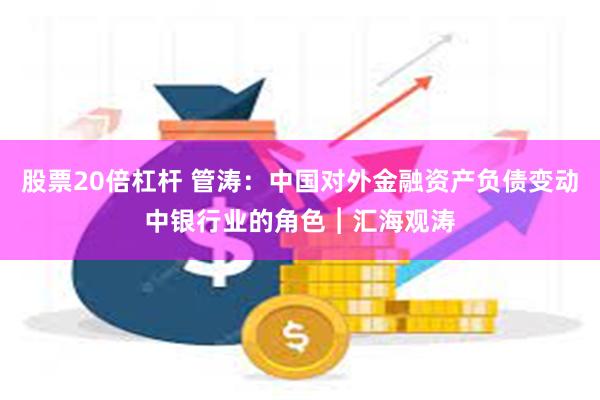 股票20倍杠杆 管涛：中国对外金融资产负债变动中银行业的角色︱汇海观涛