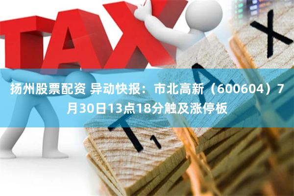 扬州股票配资 异动快报：市北高新（600604）7月30日13点18分触及涨停板