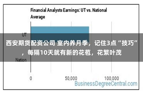 西安期货配资公司 室内养月季，记住3点“技巧”，每隔10天就有新的花苞，花繁叶茂