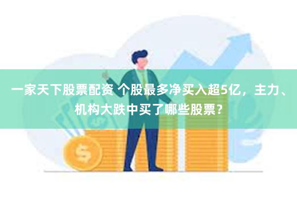 一家天下股票配资 个股最多净买入超5亿，主力、机构大跌中买了哪些股票？