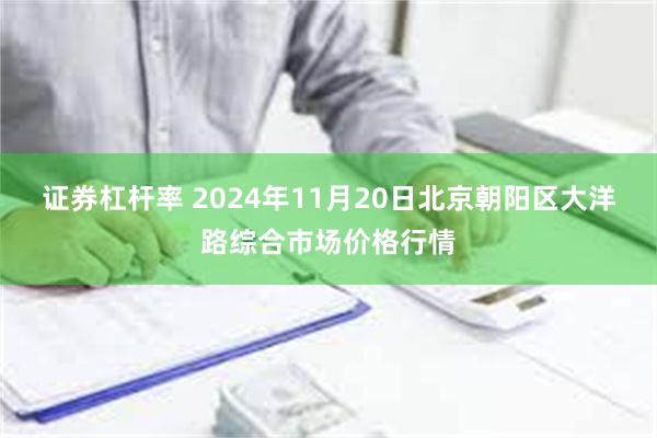 证券杠杆率 2024年11月20日北京朝阳区大洋路综合市场价格行情