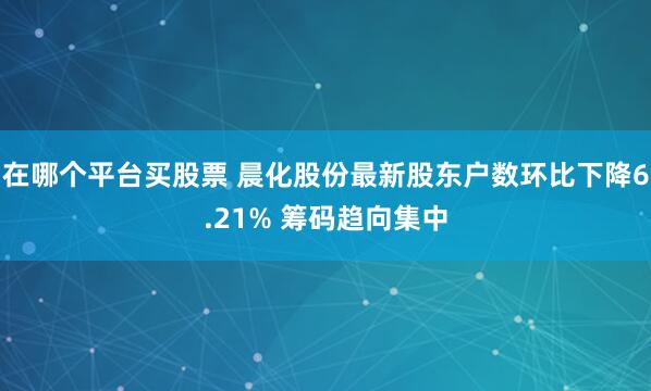 在哪个平台买股票 晨化股份最新股东户数环比下降6.21% 筹码趋向集中