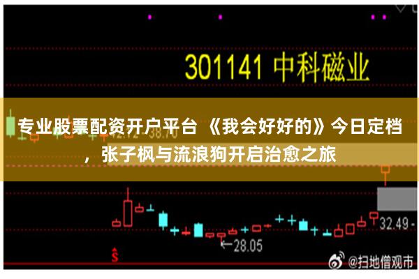 专业股票配资开户平台 《我会好好的》今日定档，张子枫与流浪狗开启治愈之旅